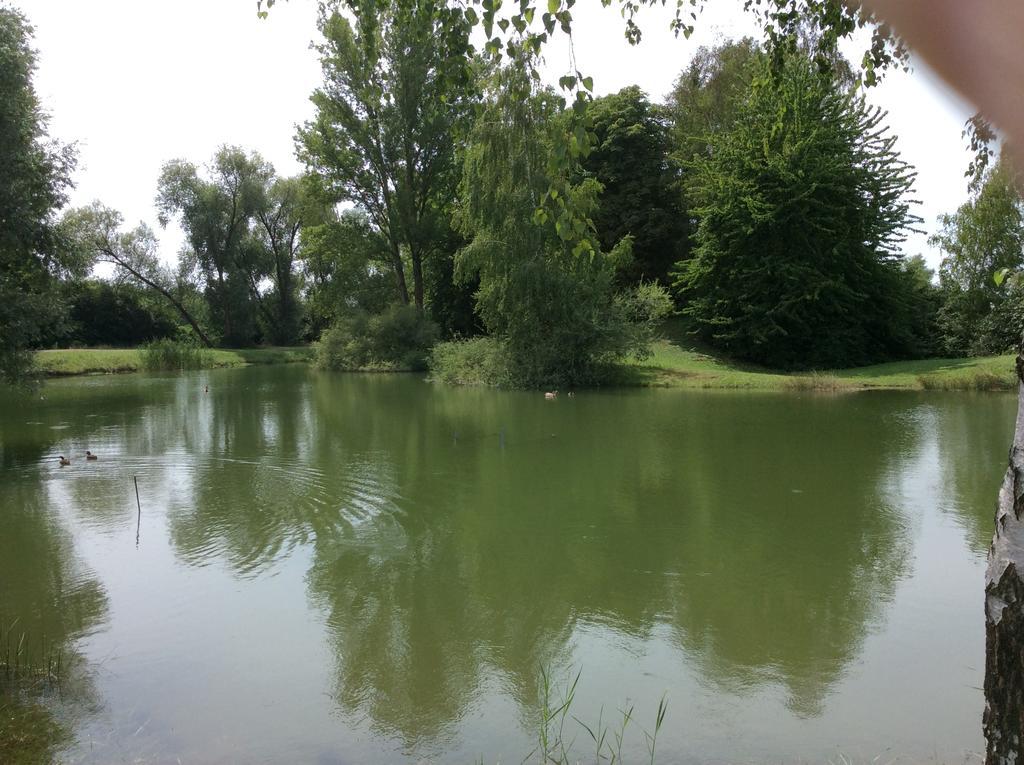 Camping Du Ried Boofzheim Kültér fotó